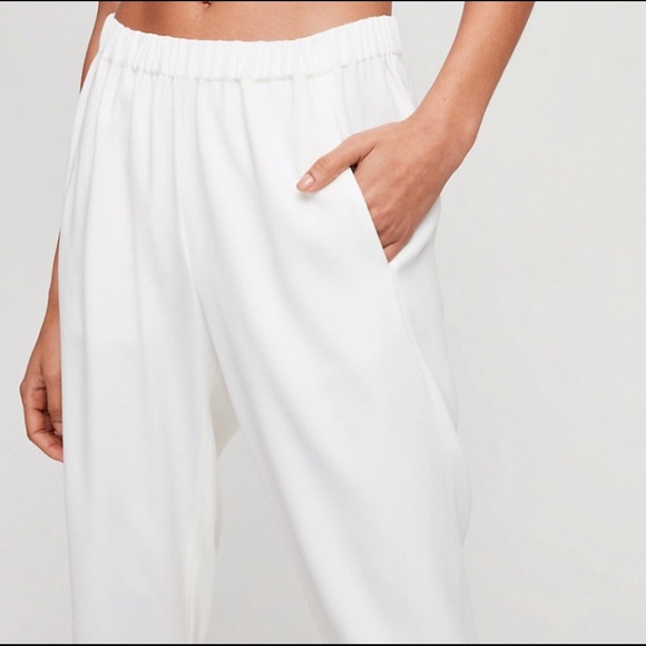 Aritzia Babaton Dexter Crepe Pant - Picture 2 of 5